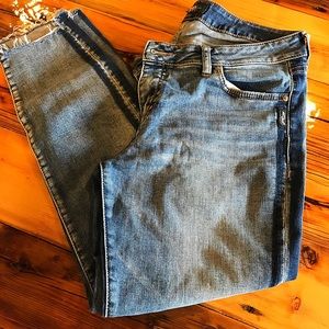 Silver Aiko ankle skinny
